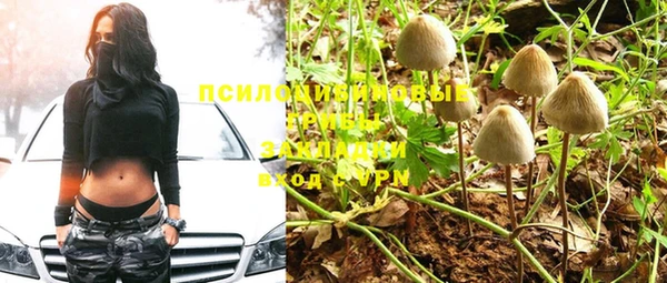 PSILOCYBIN Россошь