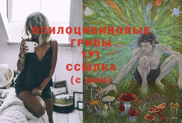 марки lsd Абаза