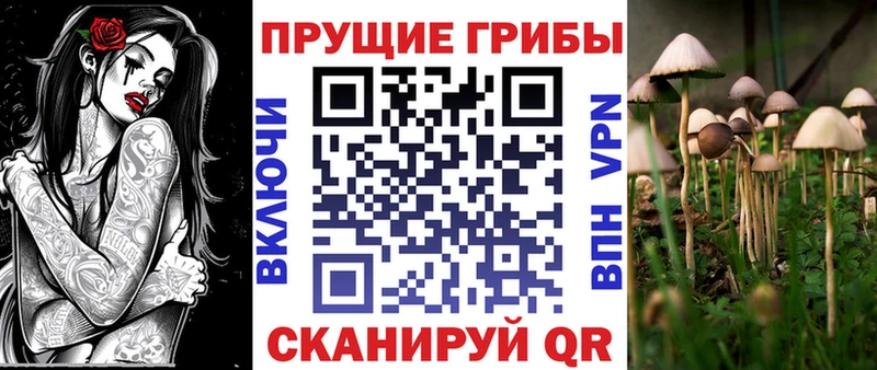 Псилоцибиновые грибы мухоморы  мега маркетплейс  Котово  как найти  